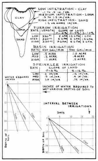 
Tables and illustration show water infiltration depths for clay, loam, and sandy soil. 
